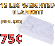 12 LBS WEIGHTED BLANKET