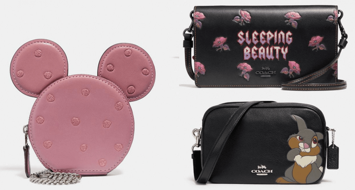 Disney X Coach Collection Hot Clearance Price!