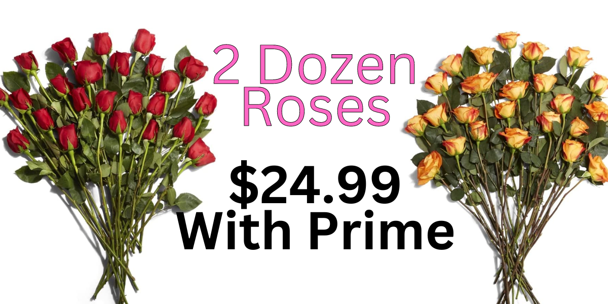 2 DOZEN ROSES ONLY $24.99 DELIVERED!