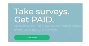 surveyjunkie