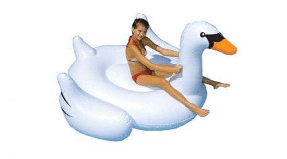 WOAH!! Huge Swan Float on Clearance!!