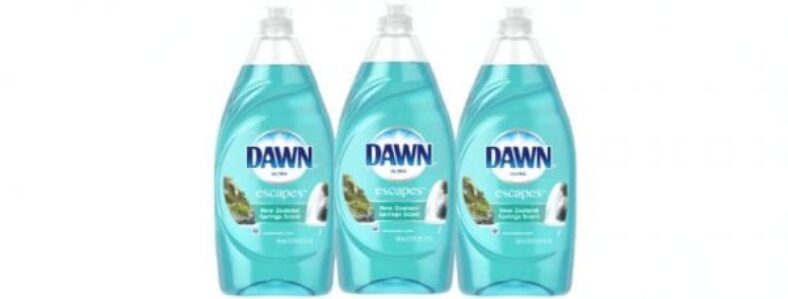 Dawn Escapes 28 oz Dishwashing Liquid Yes We Coupon