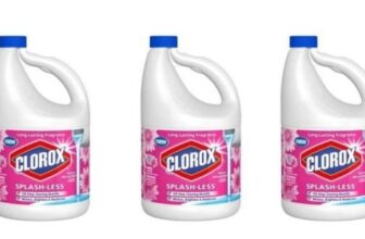 clorox