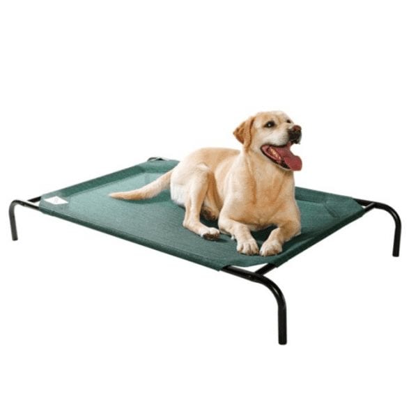 Screenshot 2020 06 24 The Original Coolaroo Elevated Pet Dog Bed for Indoors Outdoors XL Green Walmart com