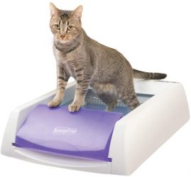 PetSafe Original Automatic Self-Cleaning Litter Boxes Amazon Deal!