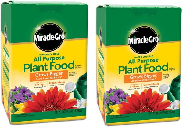Miracle Gro All Purpose Plant Food Freebie on Amazon!