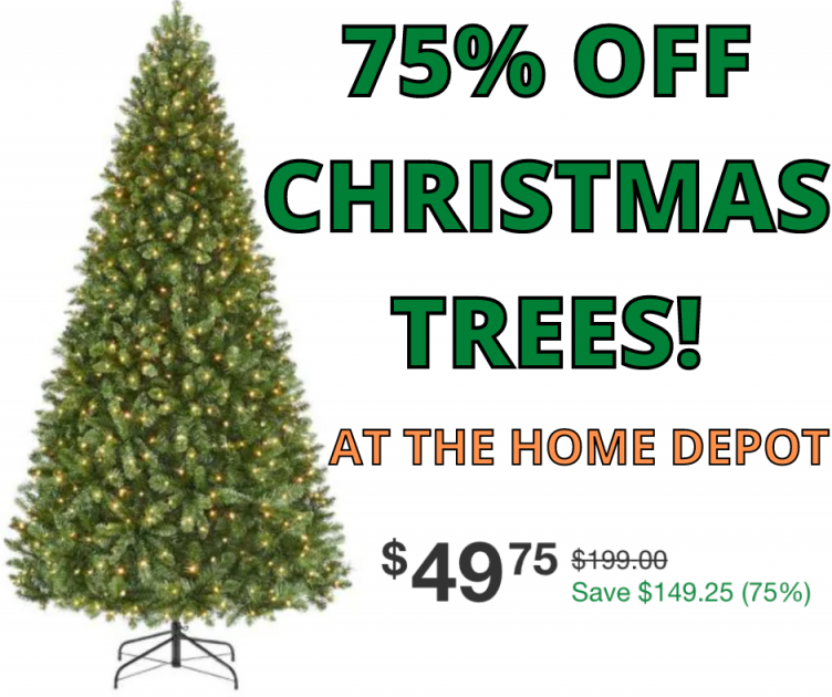 Christmas Trees 75% Off!