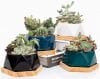 4 Inch Ceramic Pots for Succulents – DOUBLE DISCOUNT ON AMAZON