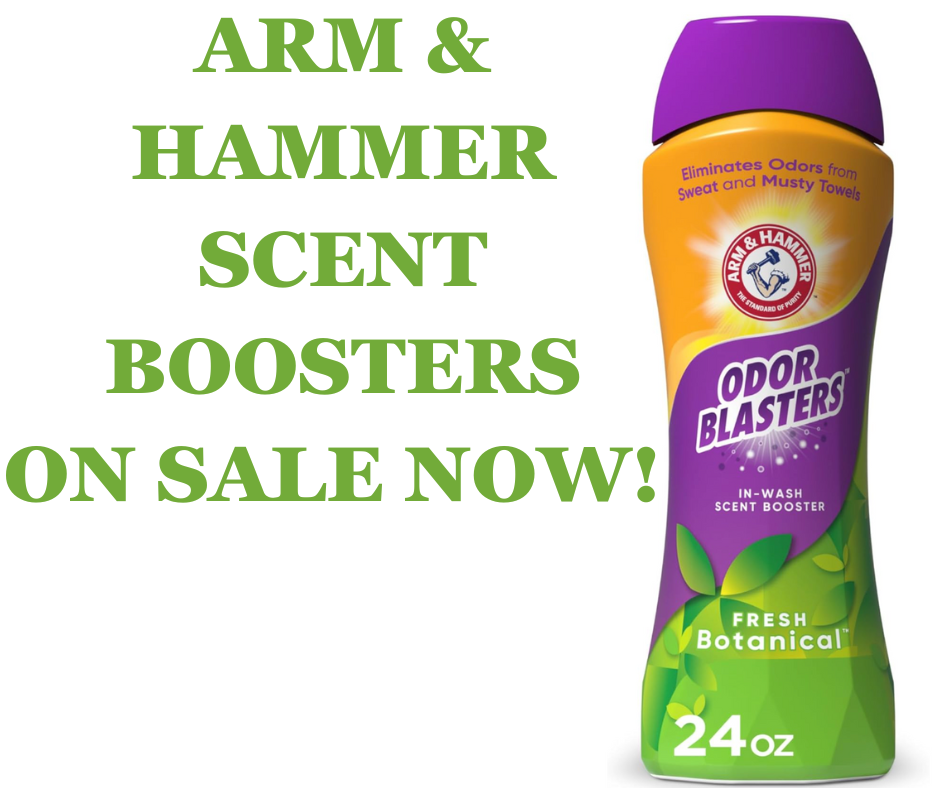 ARM AND HAMMER