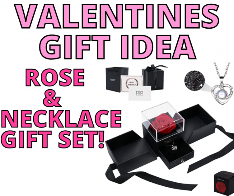 Valentines Day Rose & Necklace Gift Idea!