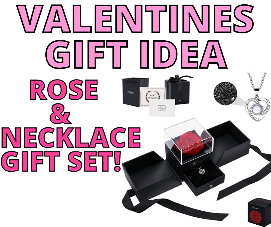 Valentines Day Rose & Necklace Gift Idea On Amazon!