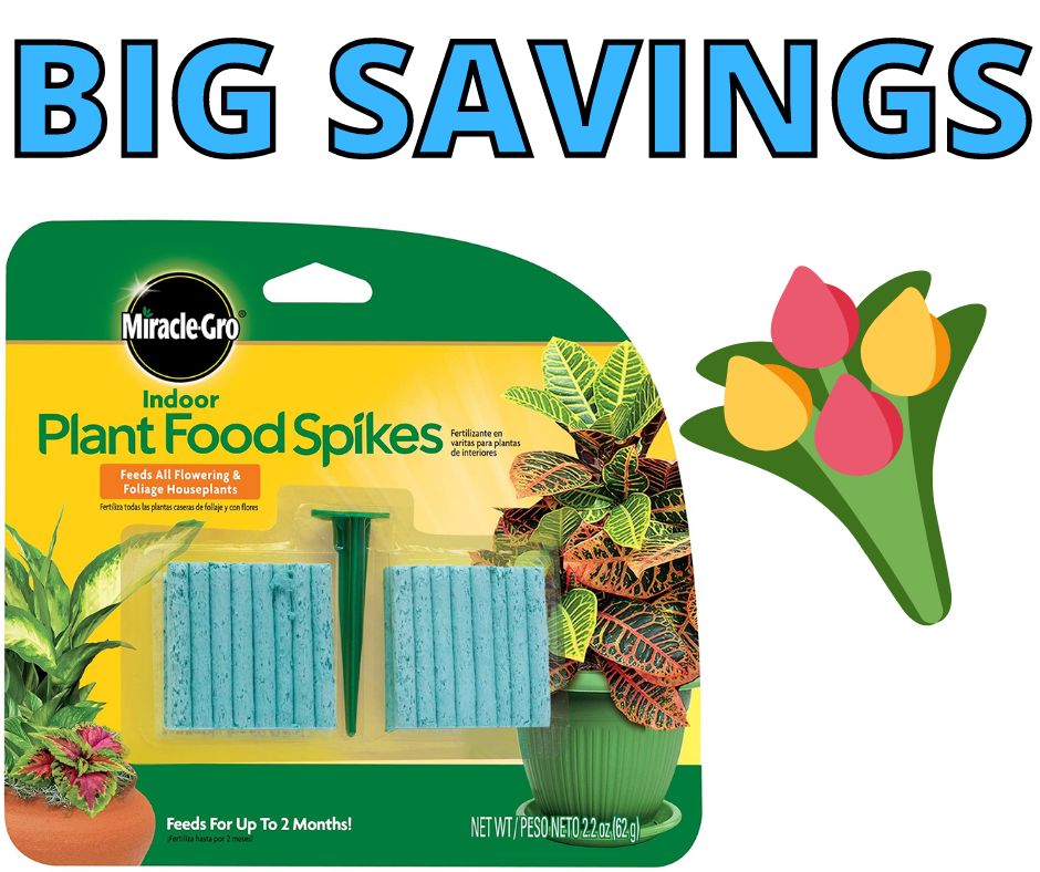 Miracle-Gro Indoor Plant Food Spikes BIG SAVINGS on Amazon!