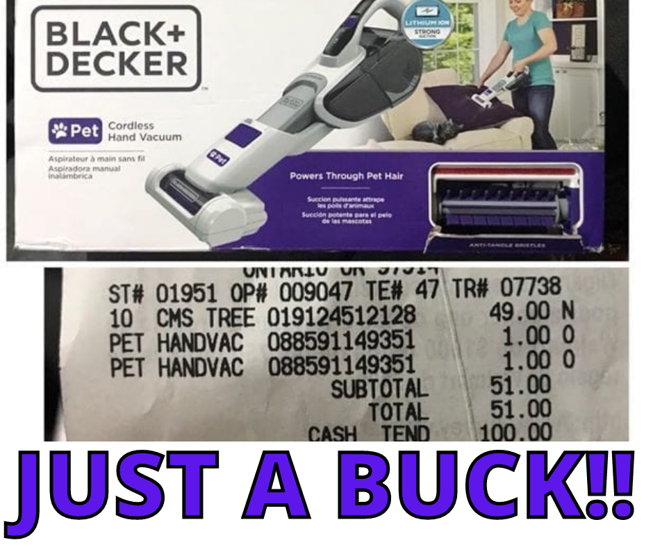 BLACK+DECKER Dustbuster ONLY $1.00 At Walmart!