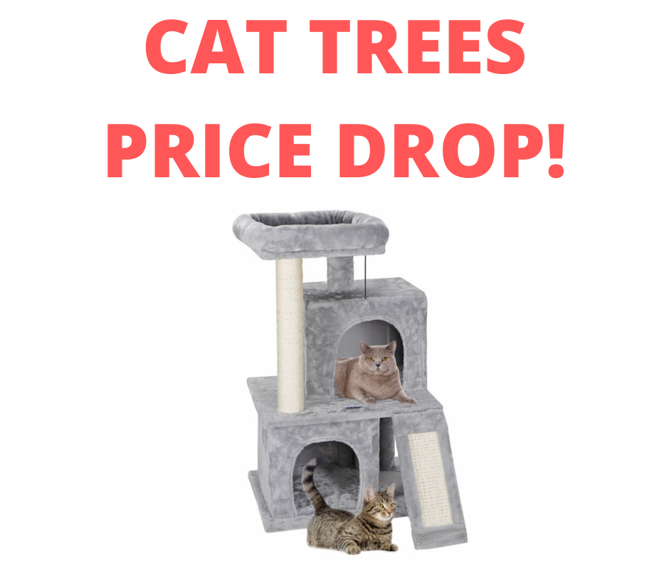 CAT TREES PRICE DROP