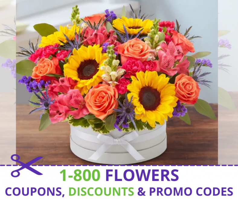 1800 Flowers Coupons Celebrate Any Occasion For Less Glitchndealz