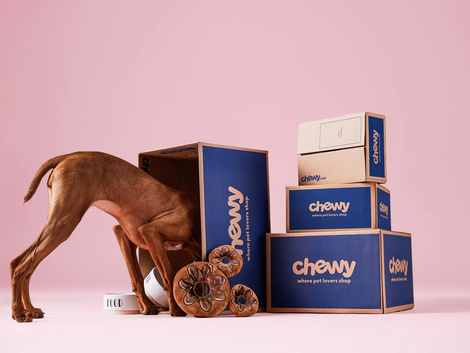 Chewy Blue Box Event Dog 2
