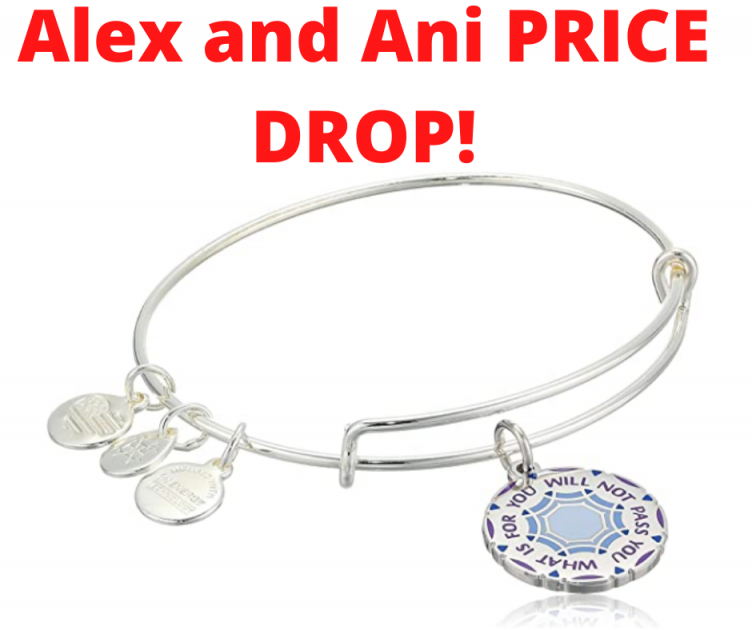 Alex and Ani Connections Expandable Bangle HOT Amazon Deal!