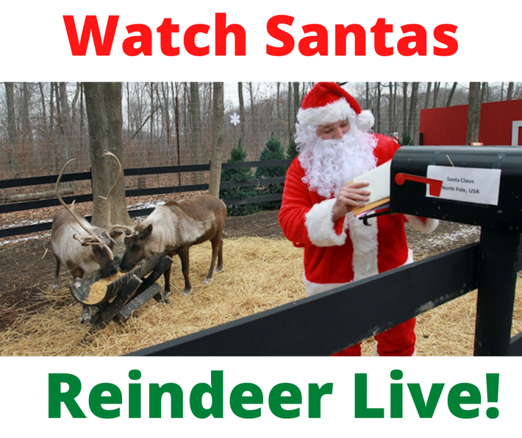 Watch Santas Reindeer On Live Feed!