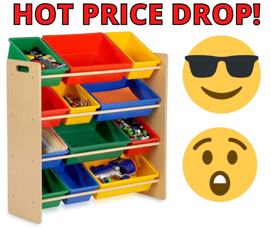Honey-Can-Do Kids Toy Organizer HOT Amazon Deal!