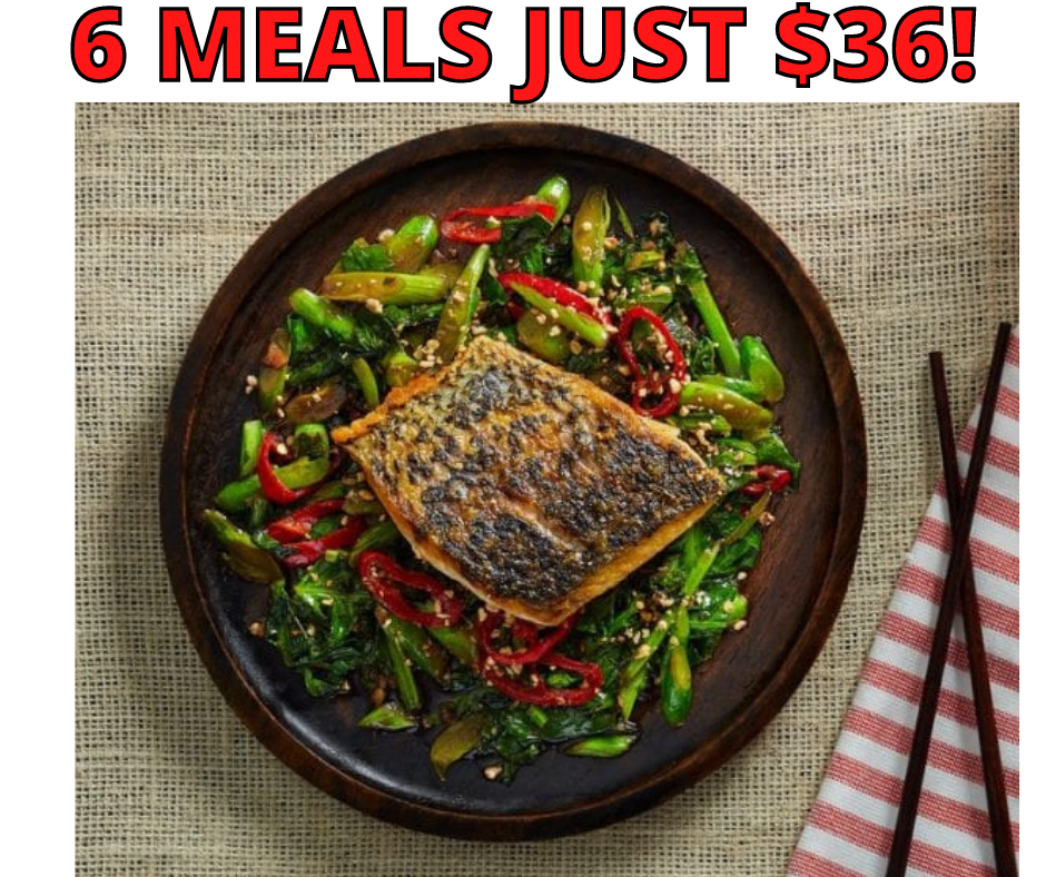 Meal Subscription Box! Score 6 Meals For JUST $36!