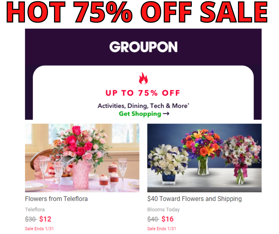 Groupon 75% OFF Valentines Day Sale!