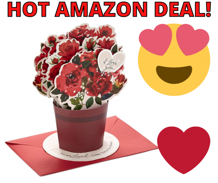 Hallmark Paper Wonder Pop Up Valentines Day Card HOT Amazon Deal!