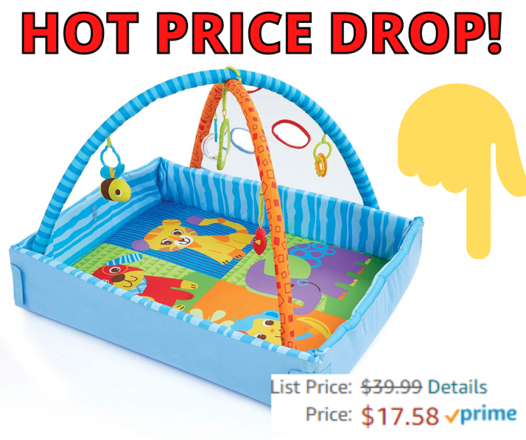 Bruin 2 in 1 Playgym HOT Price Drop at Amazon!