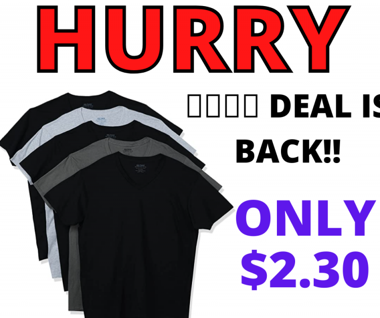 Gildan Men’s V-Neck T-Shirts Only $2.30 EACH!