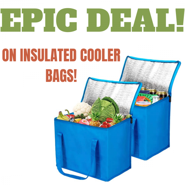 Insulated Cooler Bags On Sale Now!