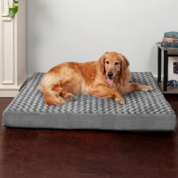 Orthopedic Pet Bed Over 60% OFF!