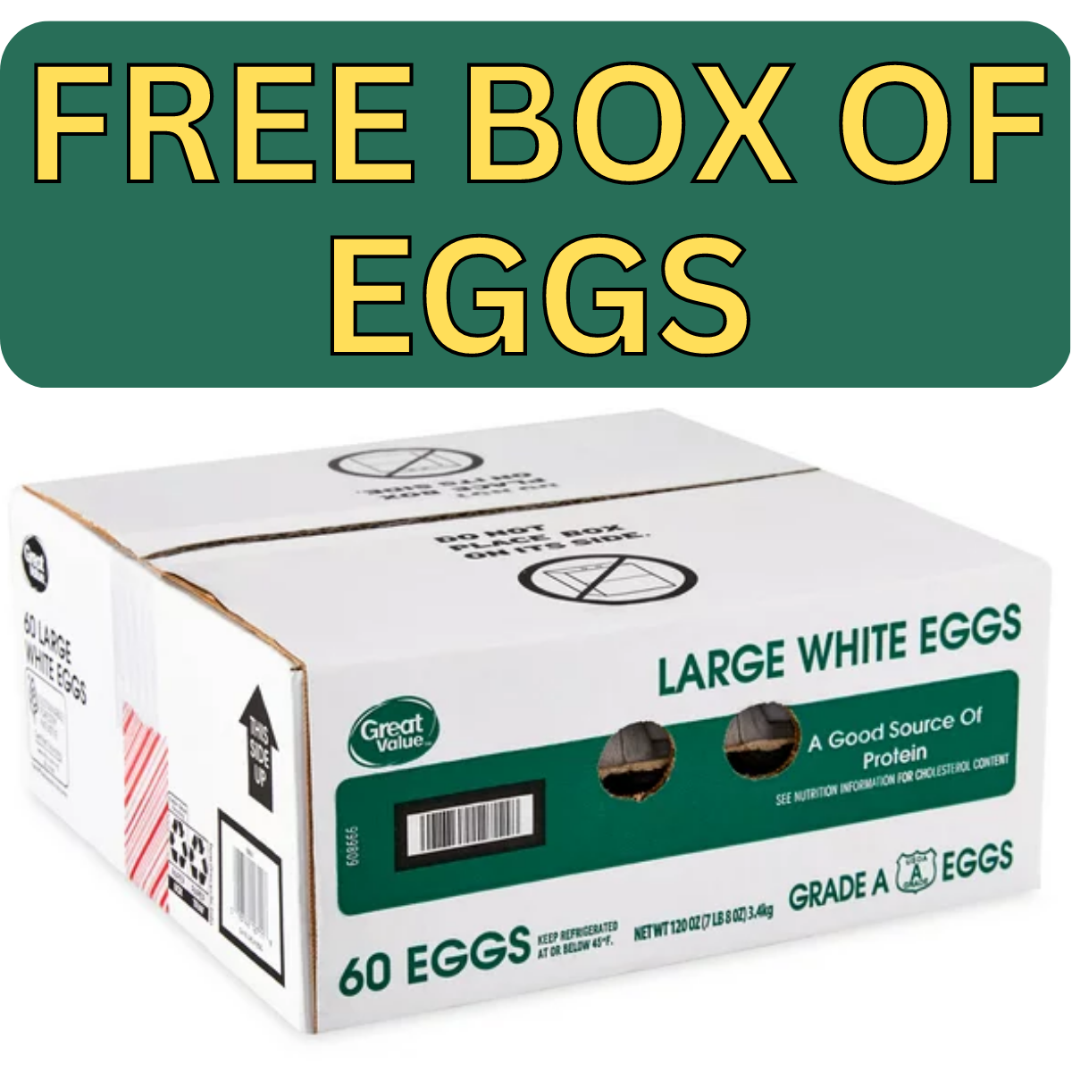 FREE BOX OF EGGS