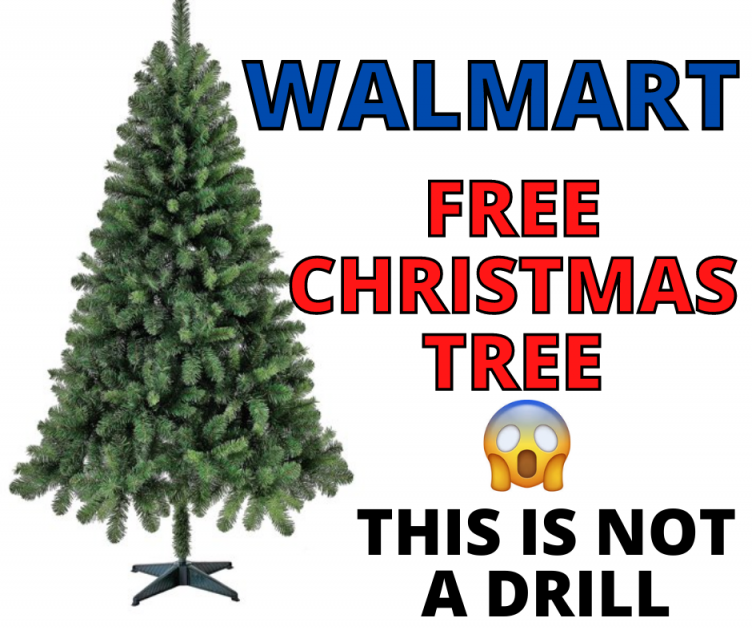 FREE 6.5 FOOT CHRISTMAS TREE FROM WALMART!