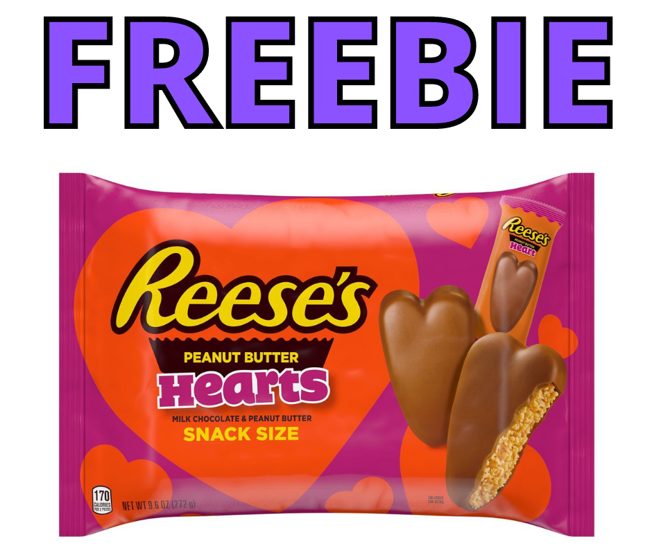 FREEBIE 1 5