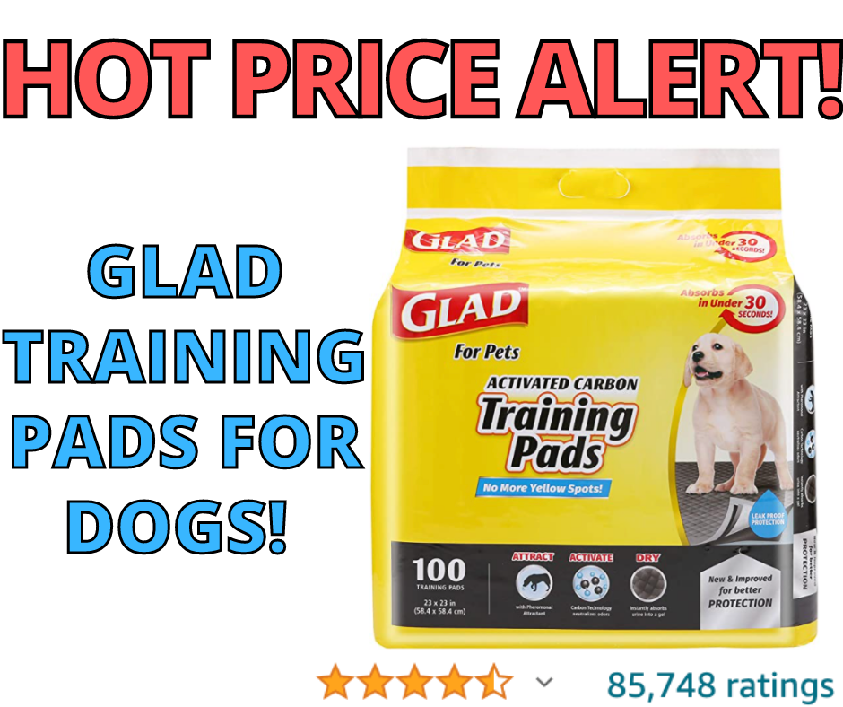 Puppy Training Pads! Hot Price On Amazon!