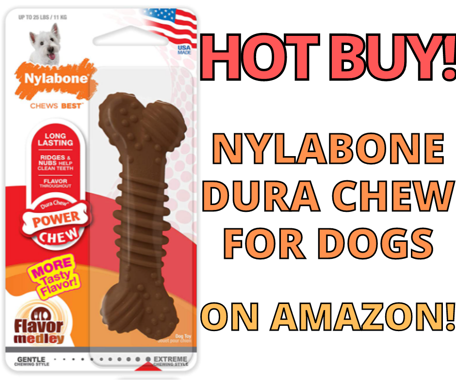 Nylabone Dura Chew For Dogs! Hot Find On Amazon!