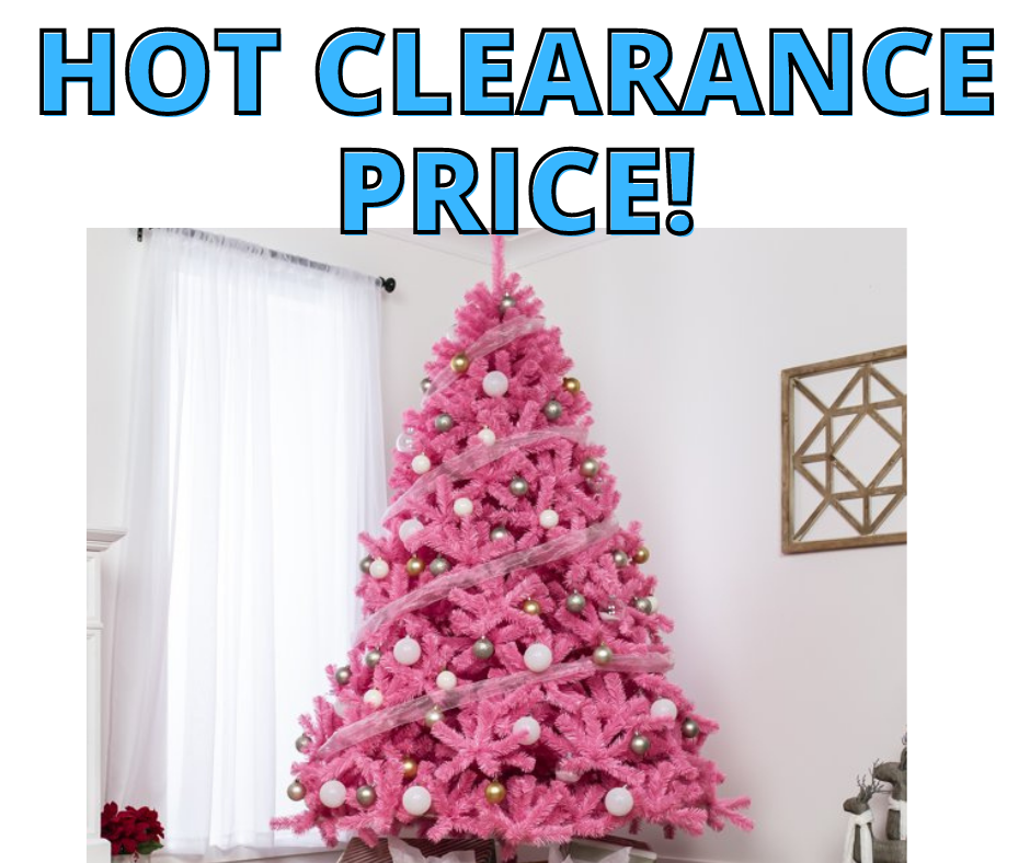 HOT CLEARANCE PRICE