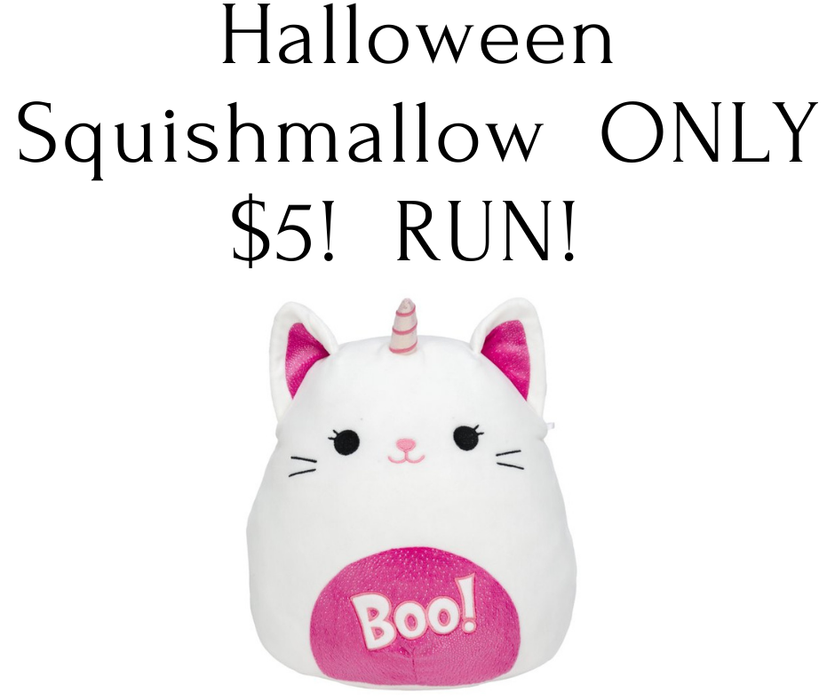 Halloween Squishmallow ONLY 5 RUN