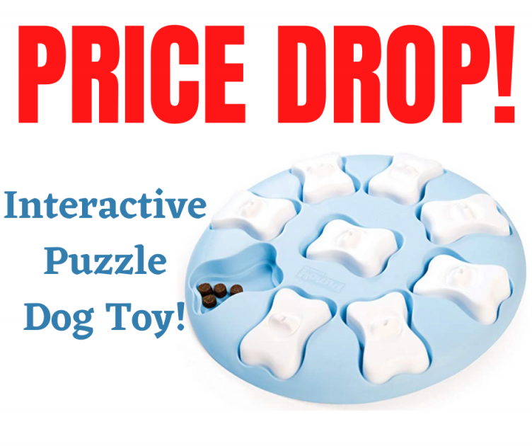 Interactive Puzzle Toy For Dogs! PRICE DROP!
