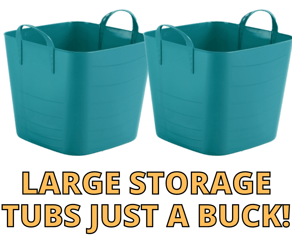 Large Storage Tub with Handles – $1