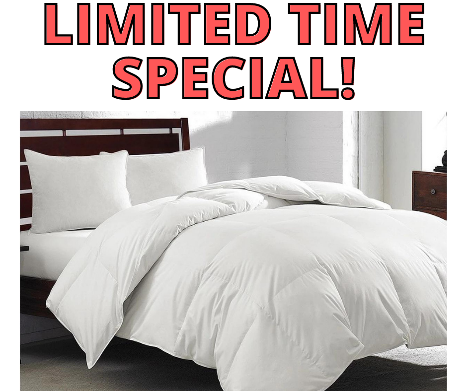 LIMITED TIME SPECIAL 1 1