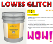LOWES GLITCH