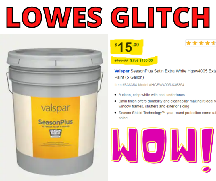 MASSIVE LOWES GLITCH ON PAINT! $15 NORMALLY $165