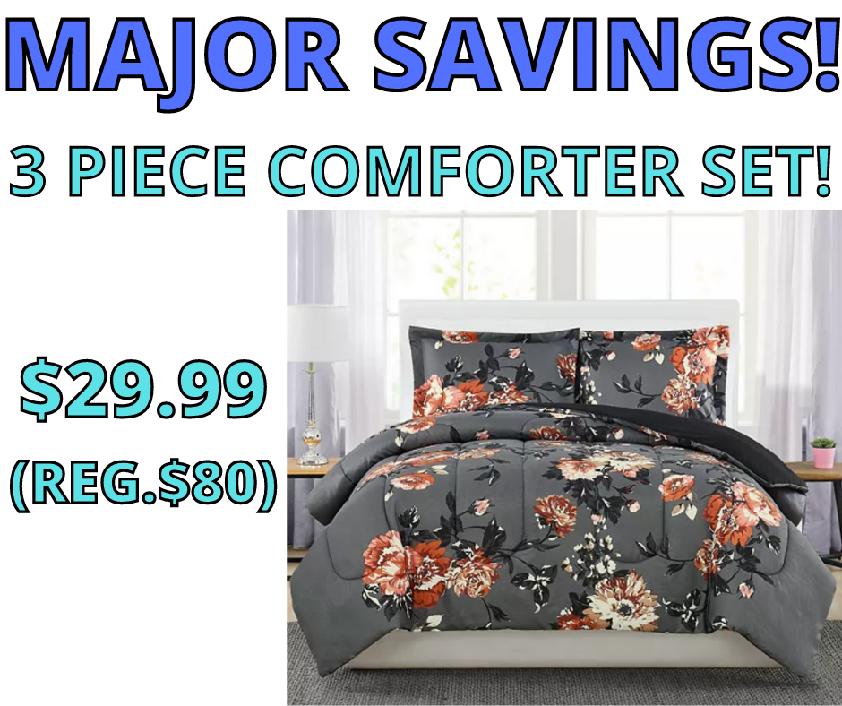 3-Piece Comforter Set! Major Price Drop!