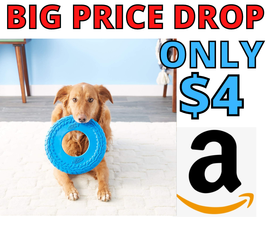 Nerf Dog Atomic Flyer BIG Price Drop On Amazon