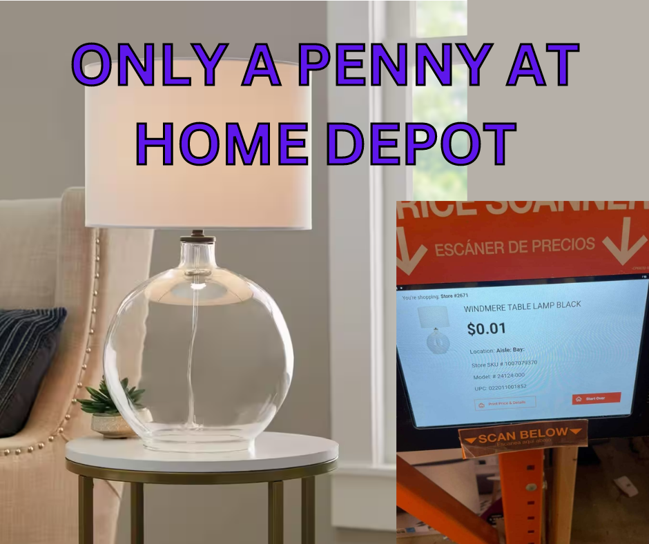 ONLY A PENNY AT HOME DEPOT