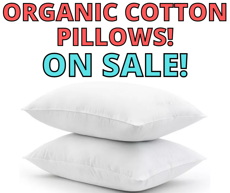 Organic Cotton Pillows On Sale Now!
