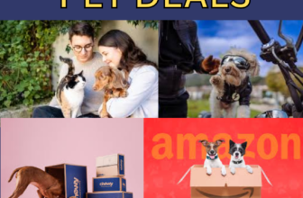 PET DEALS