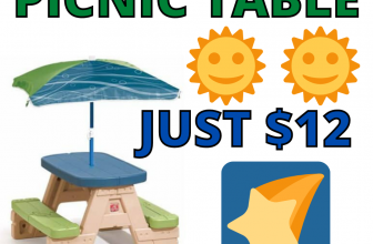 Step2 Picnic Table Only $12.00!