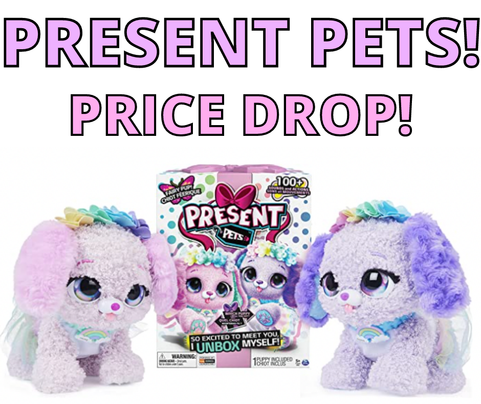Present Pets Interactive Toys On Sale On Amazon!