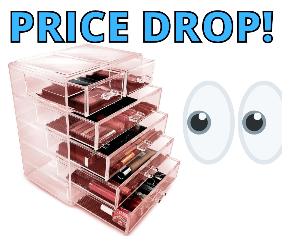 Cosmetic Makeup Storage Case PRICE DROP!